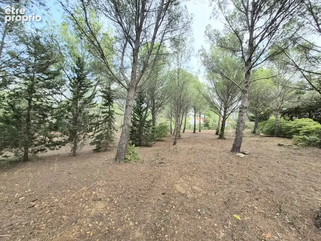 Névian – maison de plain-pied sur un magnifique terrain arboré de 7 500 m² - photo 14