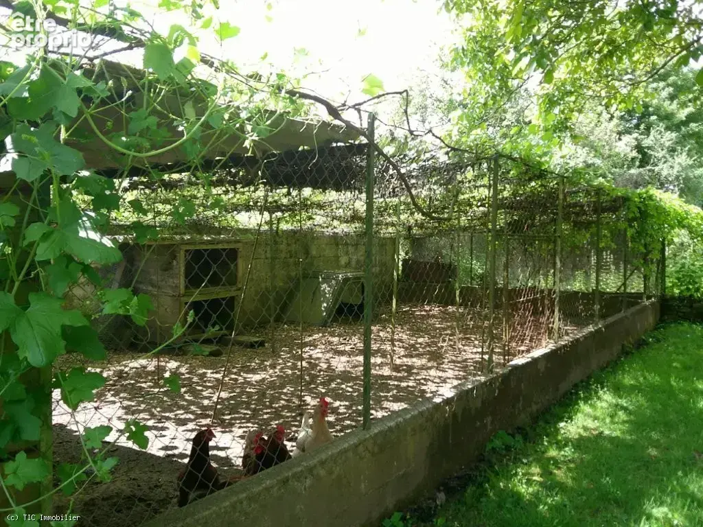 Superbe Maison De Caractère Avec Piscine Et Gite - photo 55