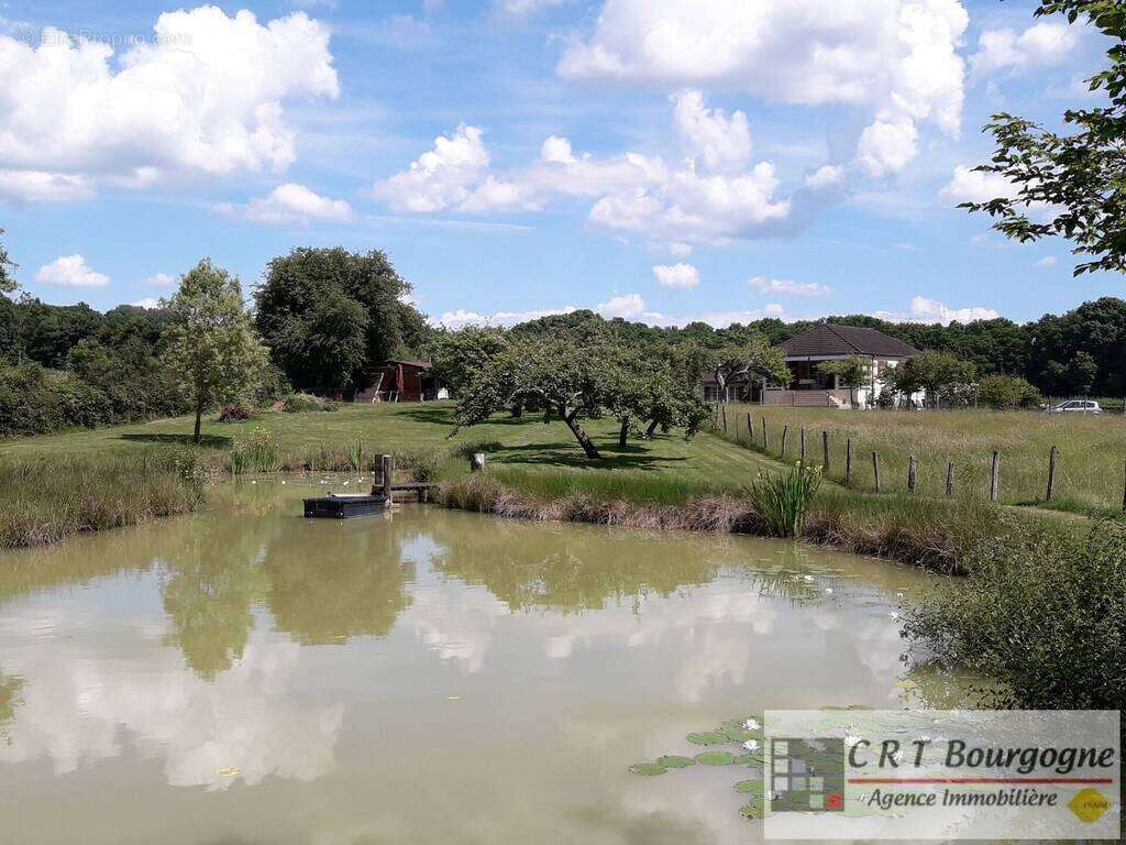 Maison à MOULINS-SUR-OUANNE