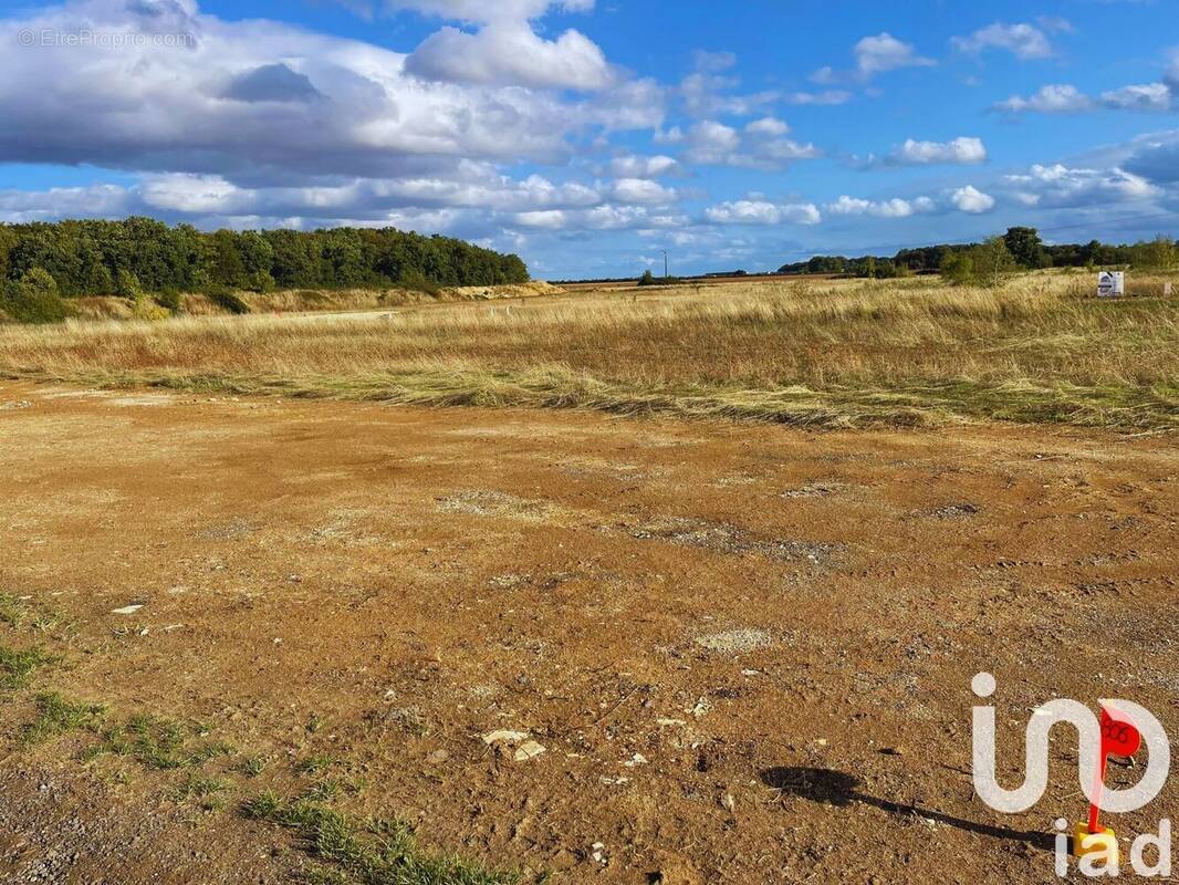 Photo 1 - Terrain à SAINT-FLORENT-SUR-CHER