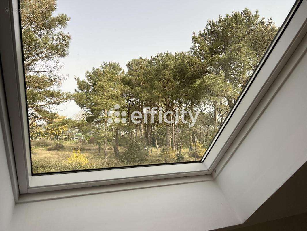 Maison à SAINT-THURIAL