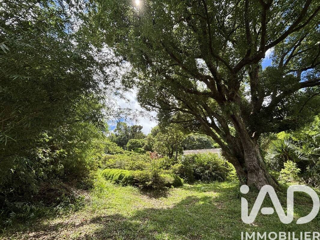 Photo 1 - Terrain à SAINT-DENIS