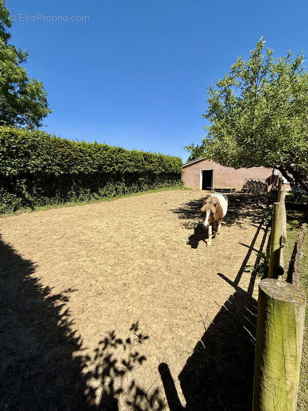 Maison à CRUZILLES-LES-MEPILLAT