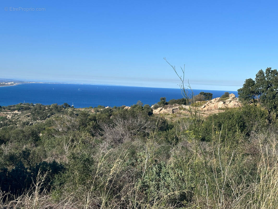 Terrain à COLLIOURE