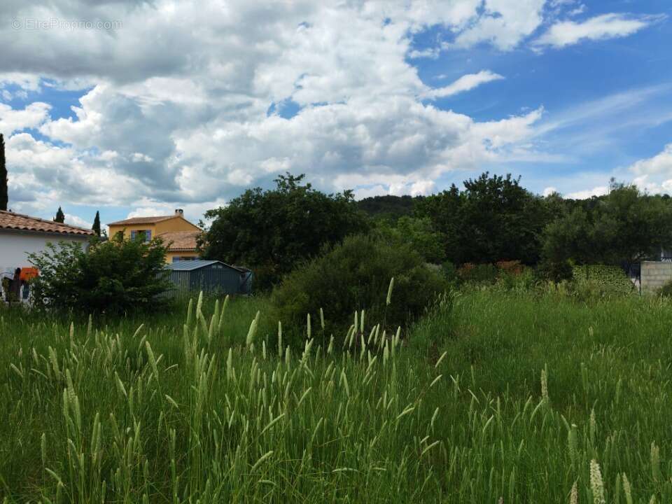 Terrain 750 m² à Le Cannet-Des-Maures  - photo 7