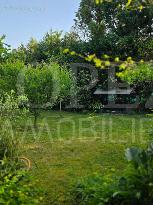 Maison à MAZAMET