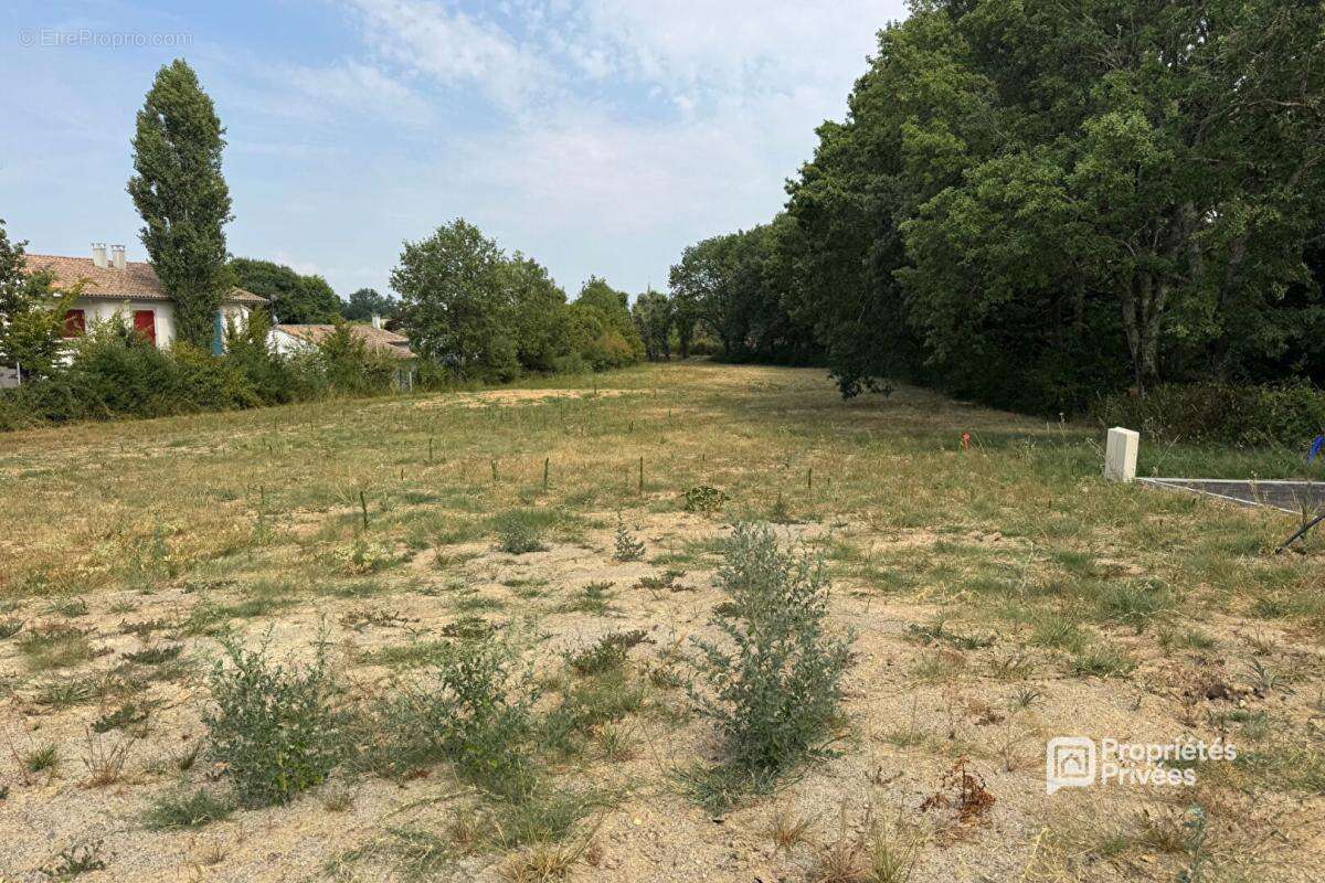 Terrain Villaudric - photo 2