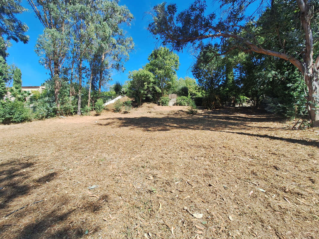 Terrain à SAINT-PAUL