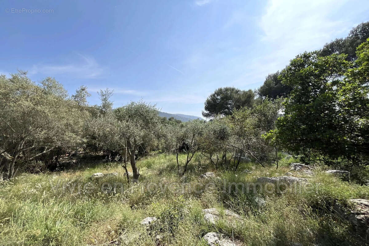 Terrain 1077 m² à Drap  - photo 2