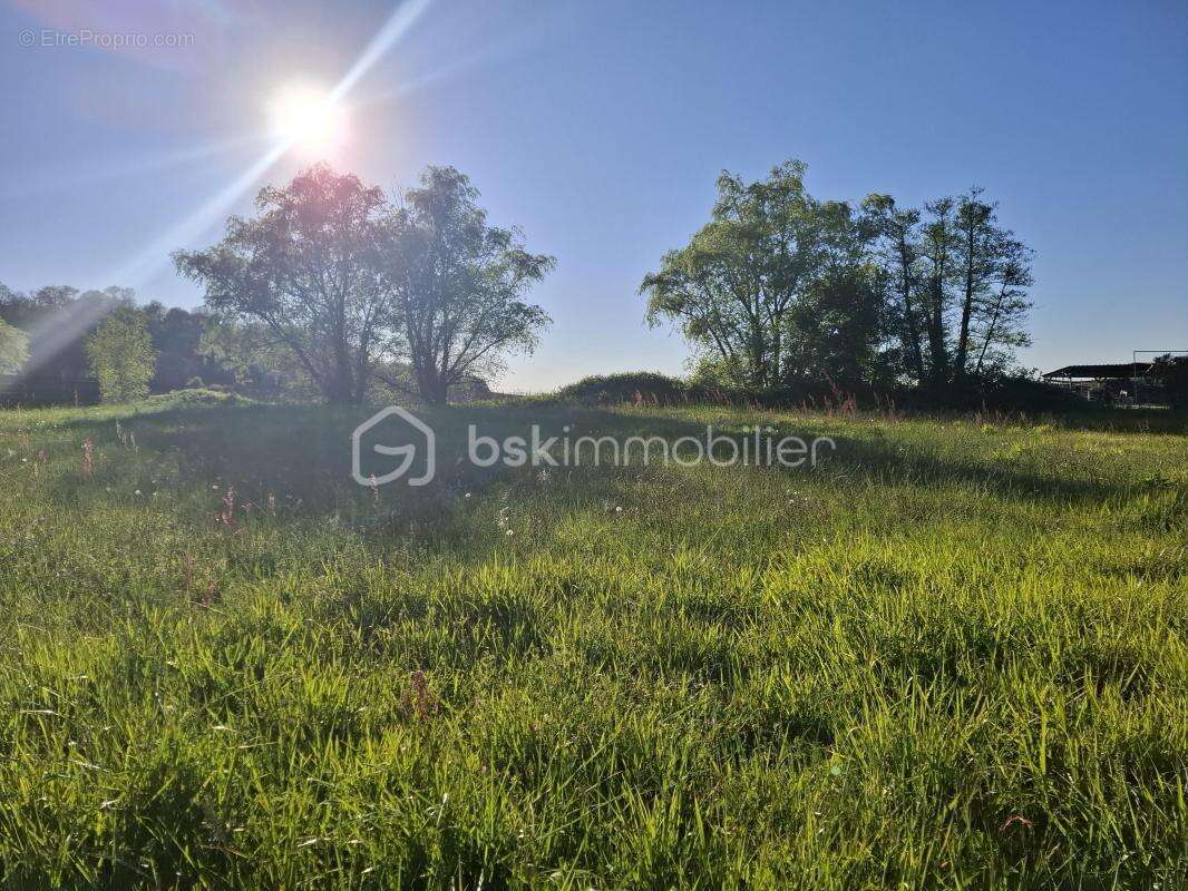 Terrain à bâtir 2055 m² – Flaujagues (33350) - photo 4