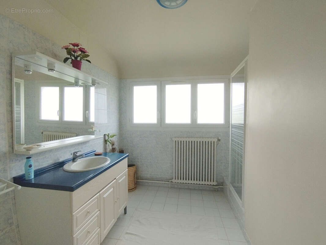 Maison à LA ROCHE-POSAY