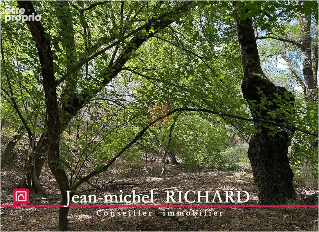 Terrain Selles Sur Cher 4300 m2 - photo 7