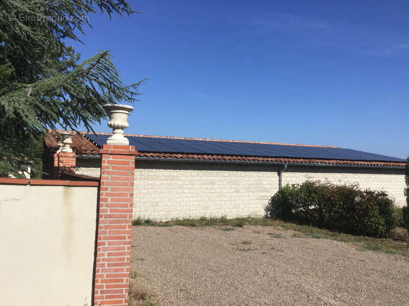 Maison à CORDES-SUR-CIEL