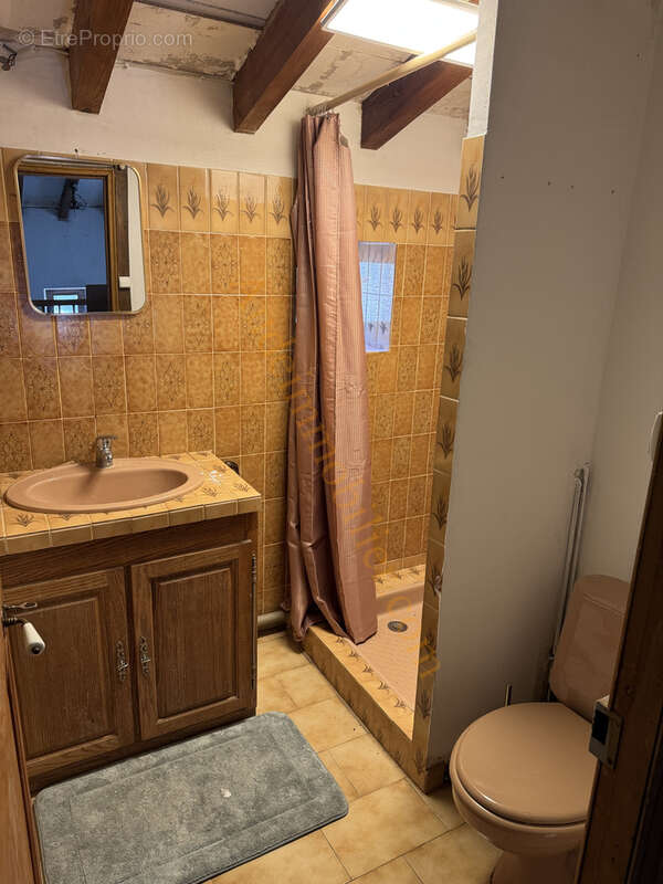 Maison avec jardin de 3500m2 environ - photo 23