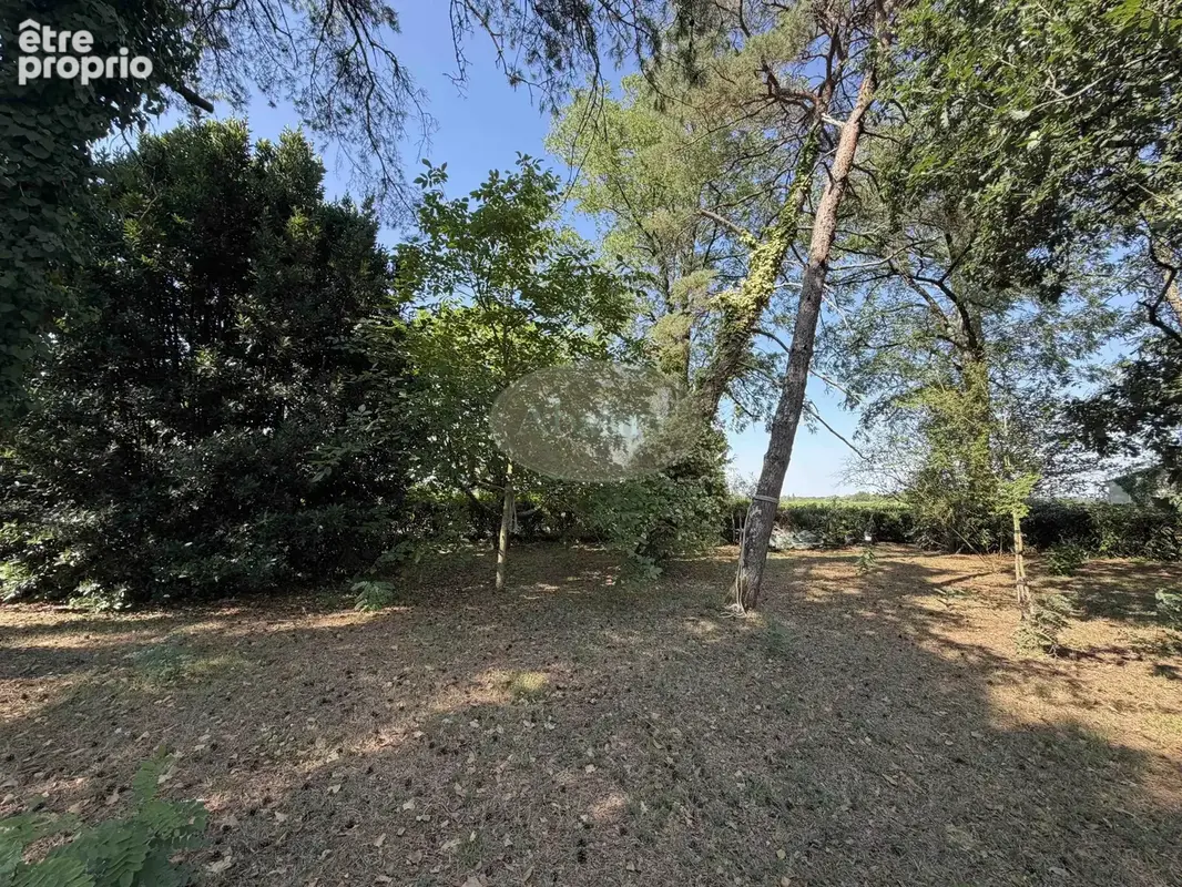 Maison 157 m² à Ordonnac  - photo 23