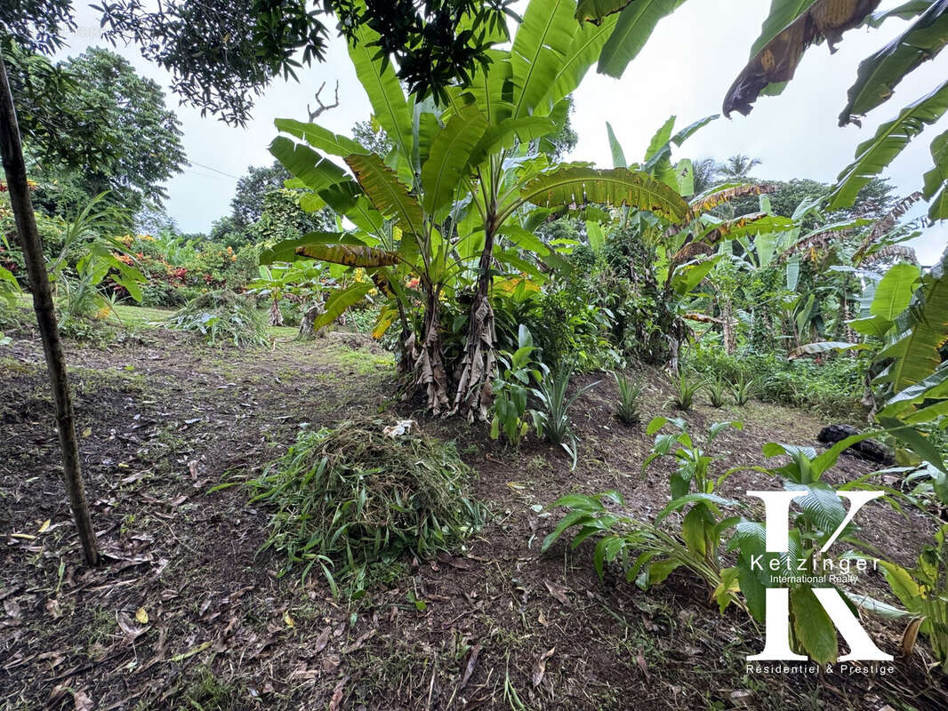 Terrain à LA TRINITE