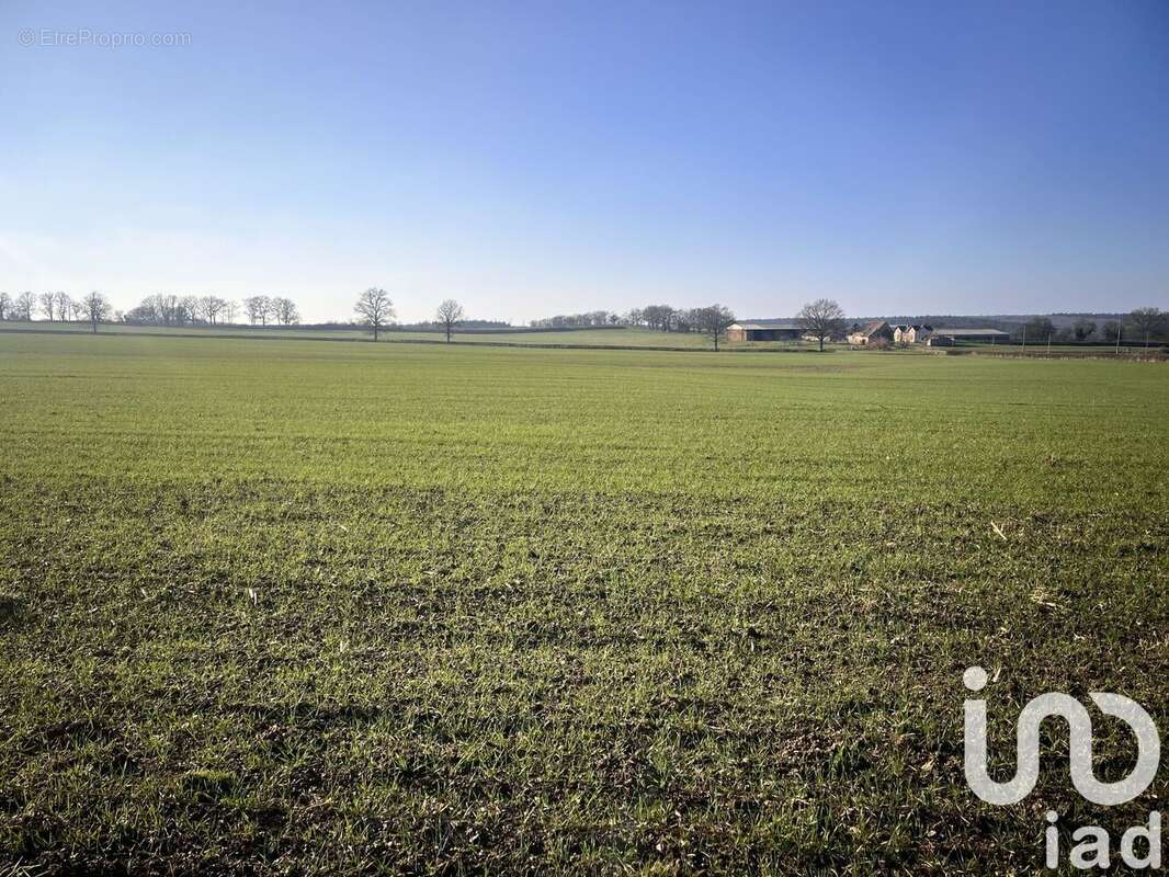 Photo 7 - Maison à BOURBON-LANCY