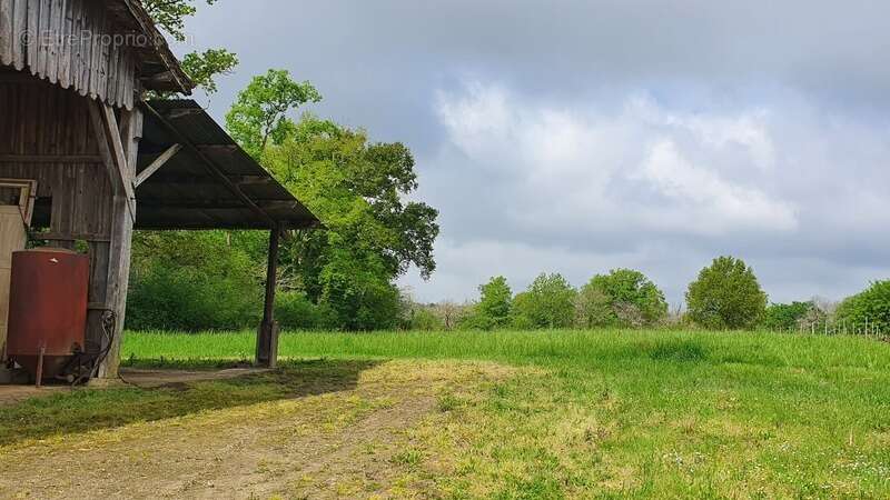 Dpt Gers (32), à vendre AYZIEU maison P6 - photo 20