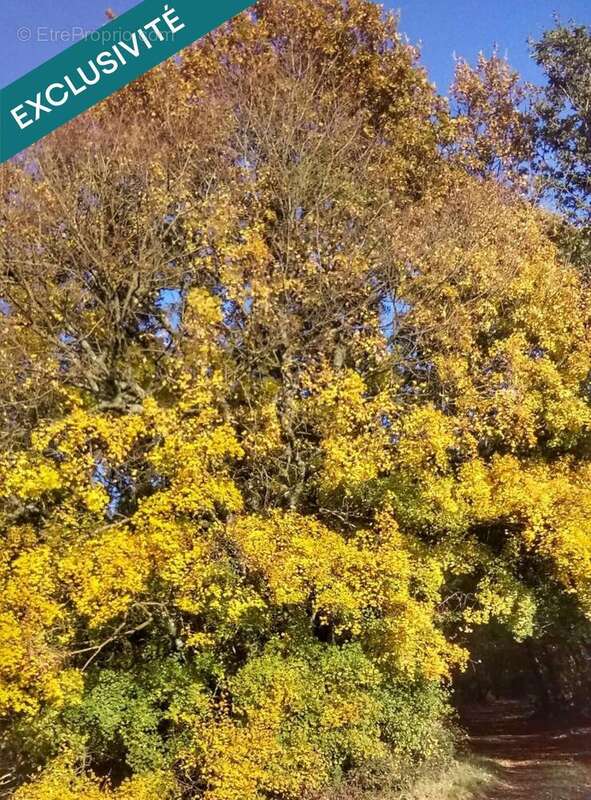 Photo 6 - Terrain à BENON