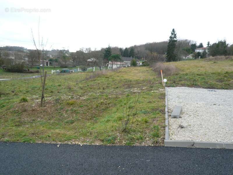 Terrain à SAINT-LAURENT-DE-COGNAC
