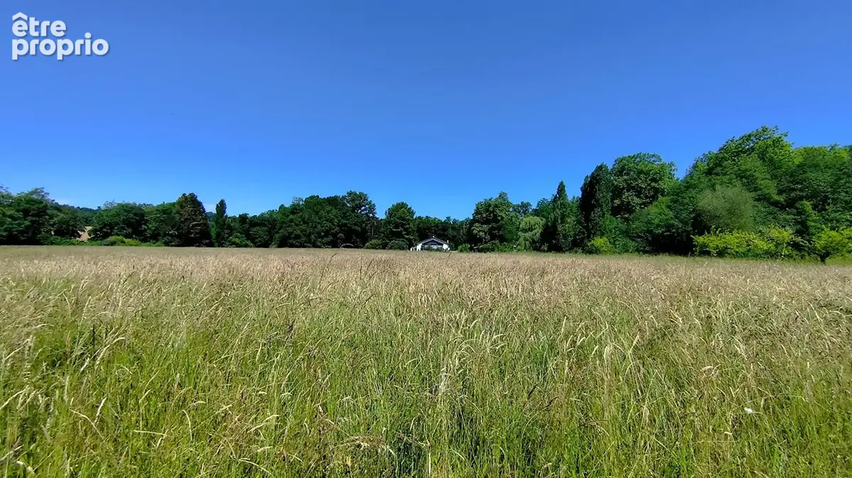 Un moulin, 11 hectares et l'art de vivre à la campagne, à 40 minutes d'Hossegor - photo 26