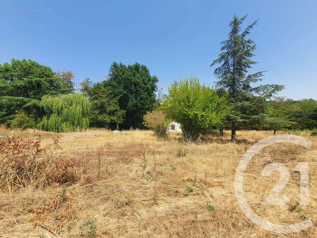 Terrain 850 m² à Montans  - photo 7