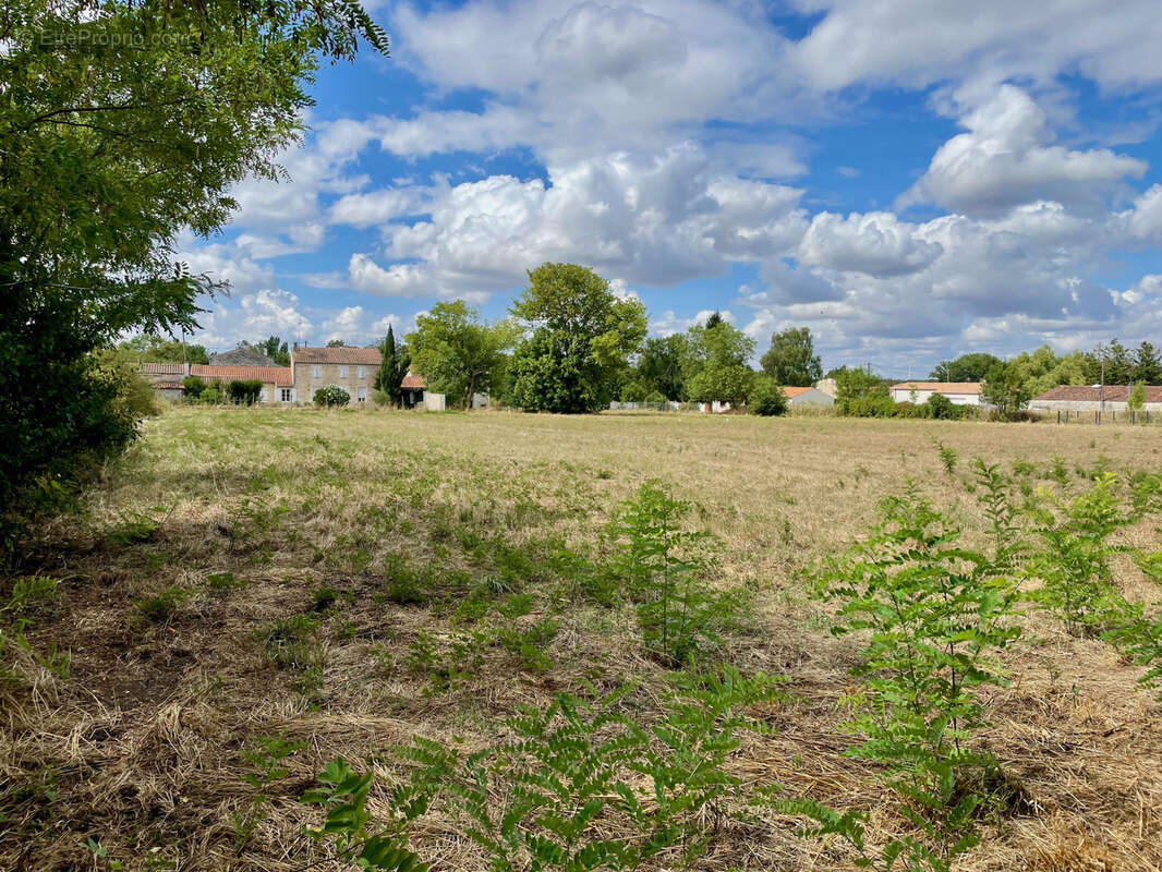 Terrain à bâtir non viabilisé - photo 3