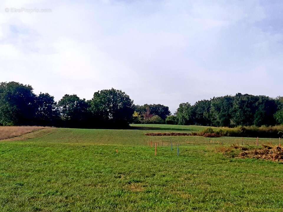Terrain 325 m² à Verfeil  - photo 2