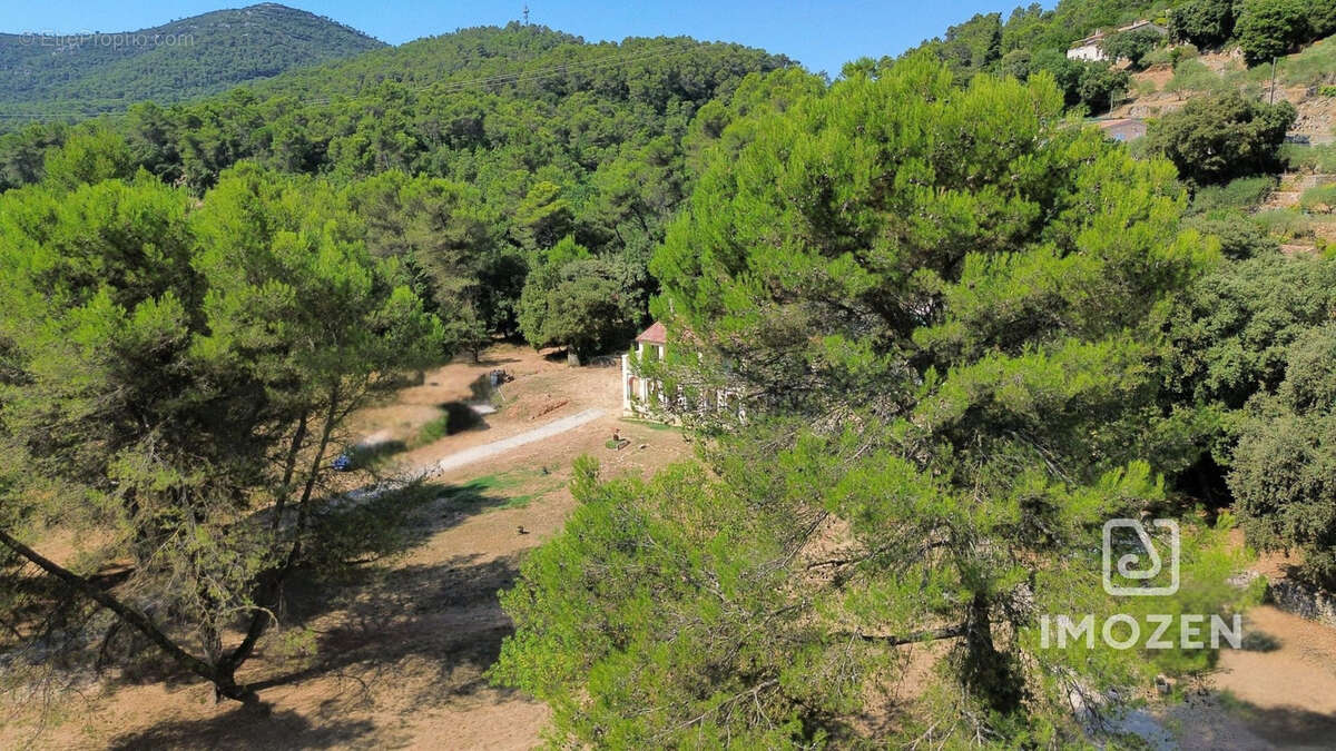 Propriété 334 m2 - 7 082 m2 de terrain -activité locative existante - photo 11