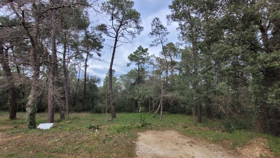 Terrain à SUZE-LA-ROUSSE