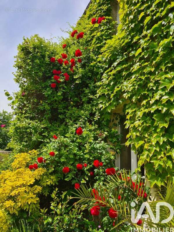 Photo 7 - Maison à VAUX-SUR-AURE