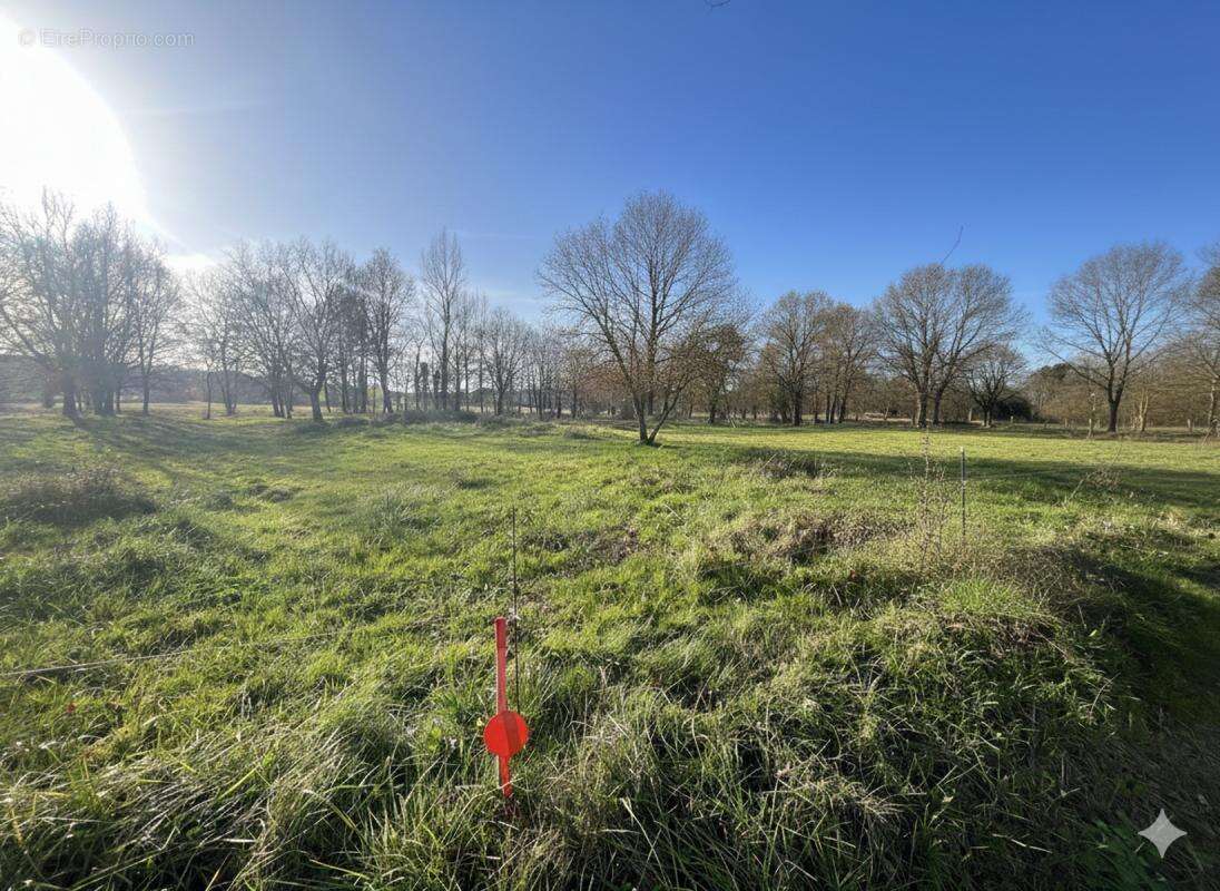 Terrain à SAINT-NAUPHARY
