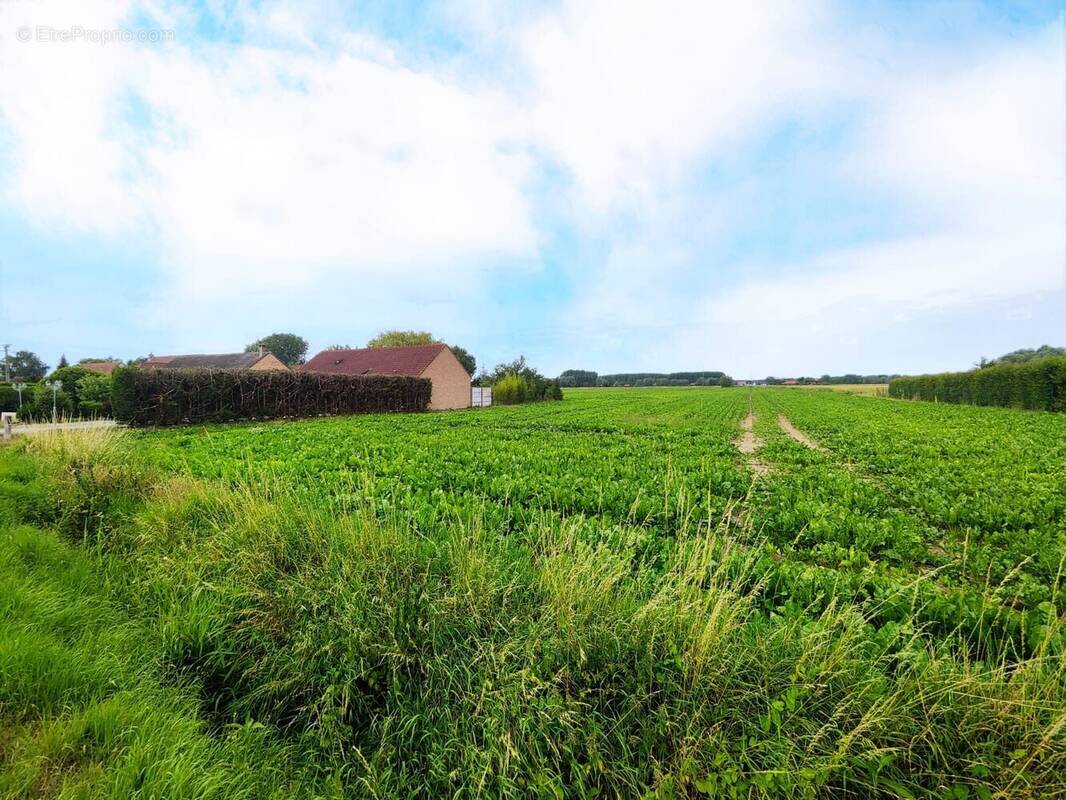 Terrain à AIRE-SUR-LA-LYS