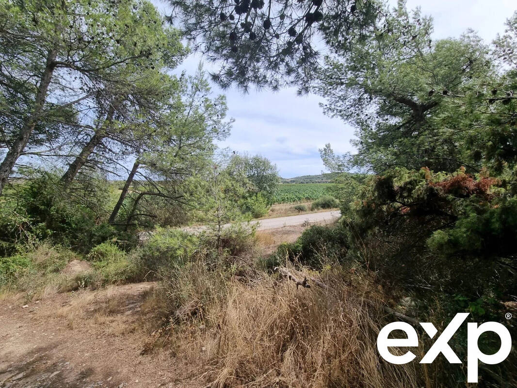Terrain à POUZOLS-MINERVOIS