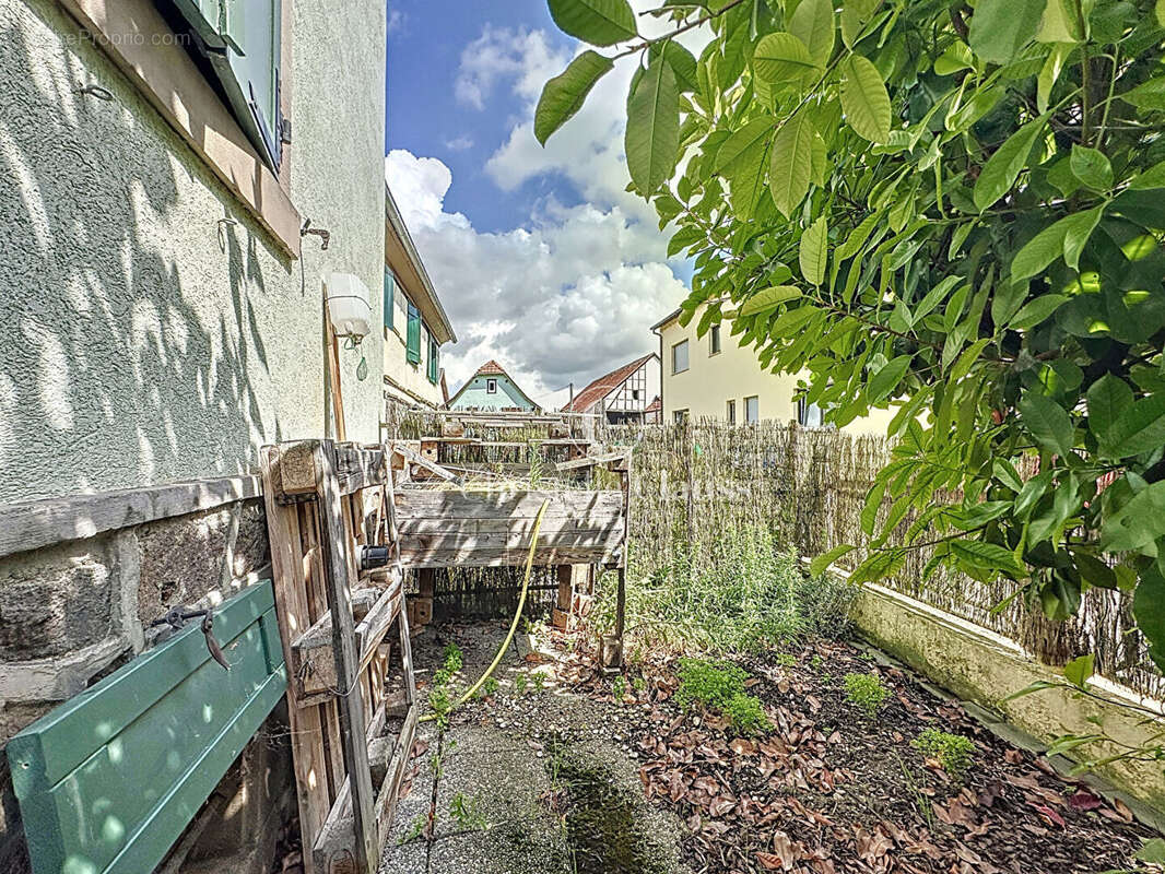 Maison à BALDENHEIM