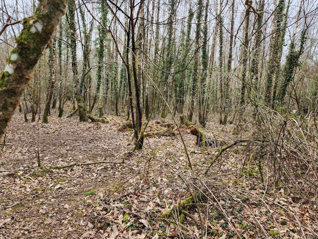 Terrain à BUSSIERE-GALANT