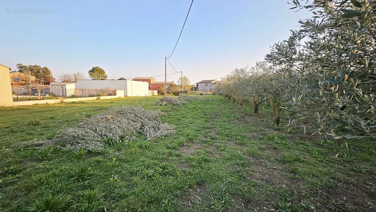 Terrain à SAINT-QUENTIN-LA-POTERIE