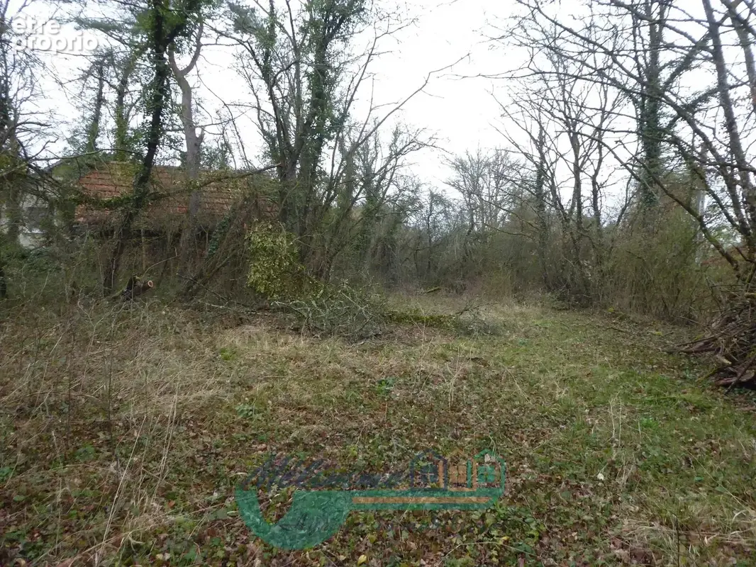 Terrain 30 m² à vendre à Villiers-Saint-Benoit (89130) - photo 3