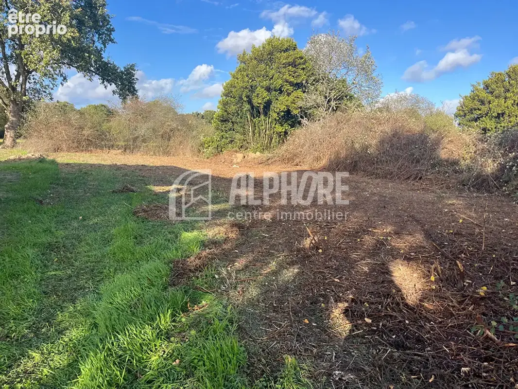 EXCLUSIVITÉ Terrain Chaumes En Retz 671 m2 - photo 1