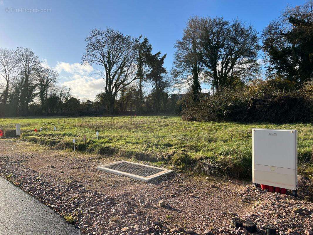 Terrain à NORON-L'ABBAYE