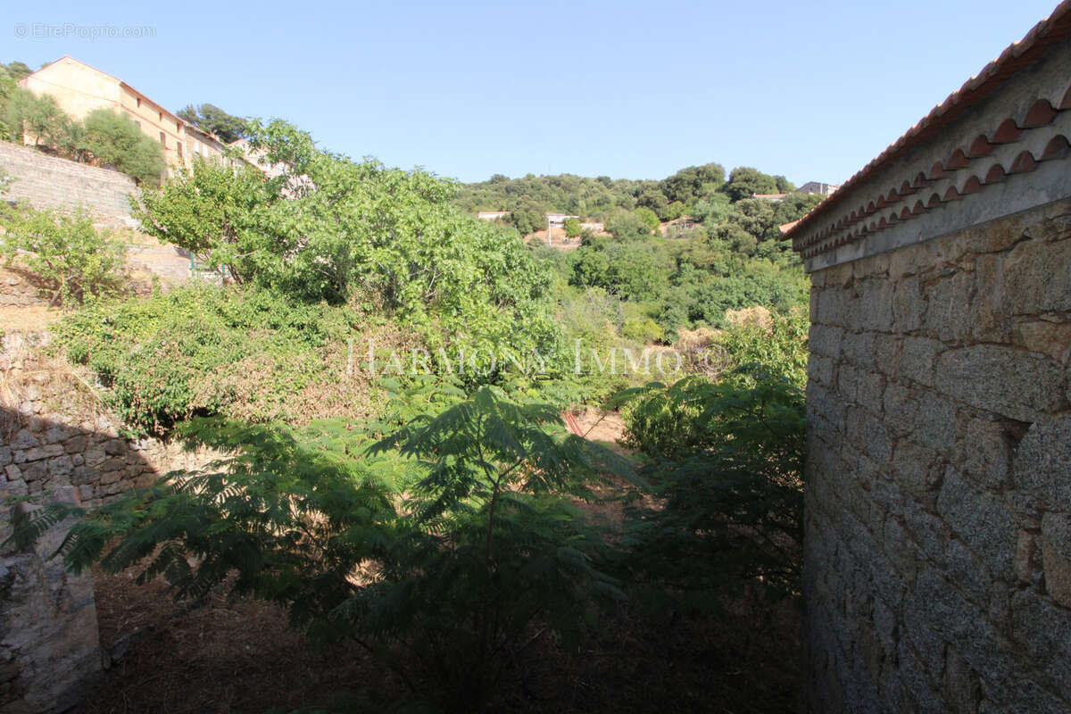 PILA-CANALE — Rare : Grand terrain en restanques de 2 154 m2avec bâtisse traditionnelle en granit à réhabilite - photo 6
