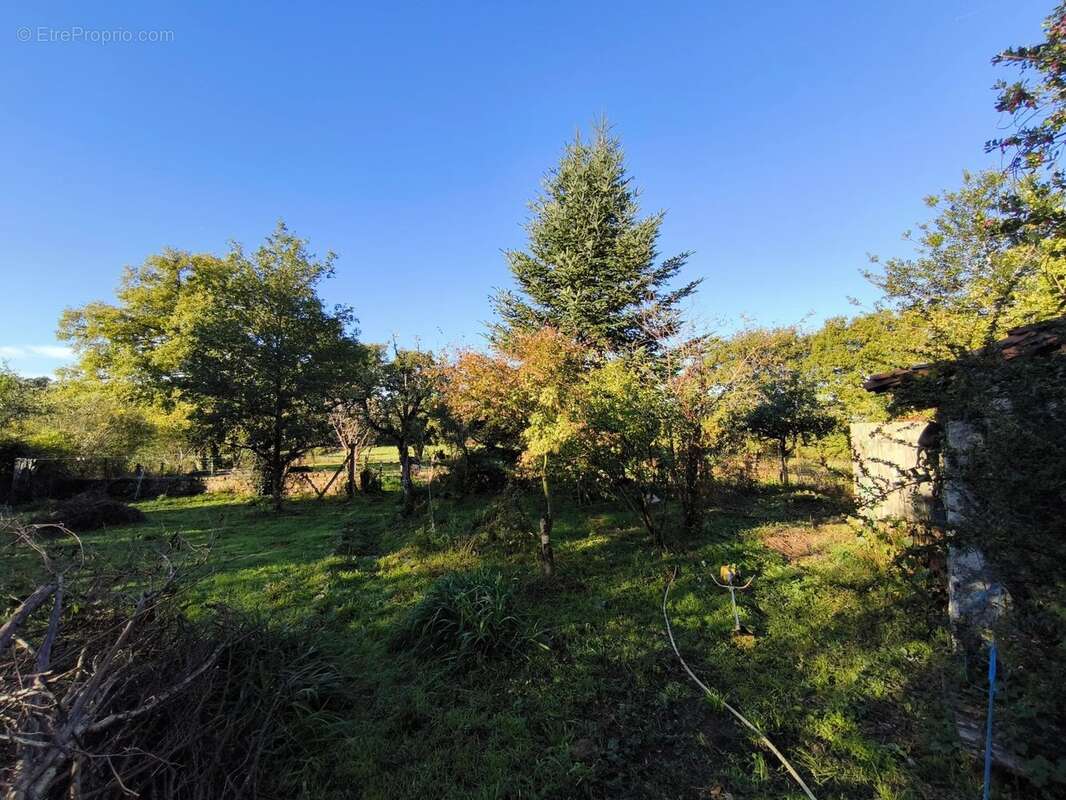 Maison à MONTROL-SENARD