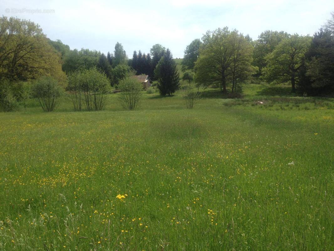 Terrain à MENONCOURT