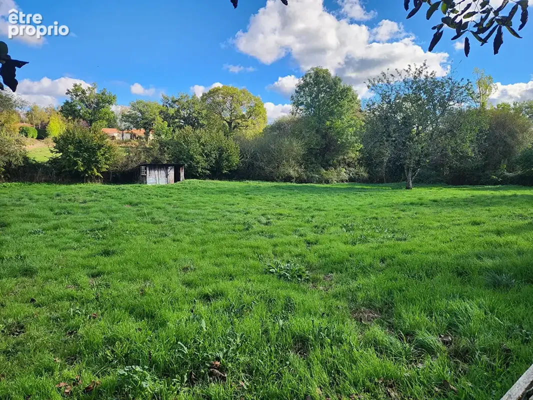 Chirac - maison avec grange, terrain et source d'eau - petite exploitation - photo 13