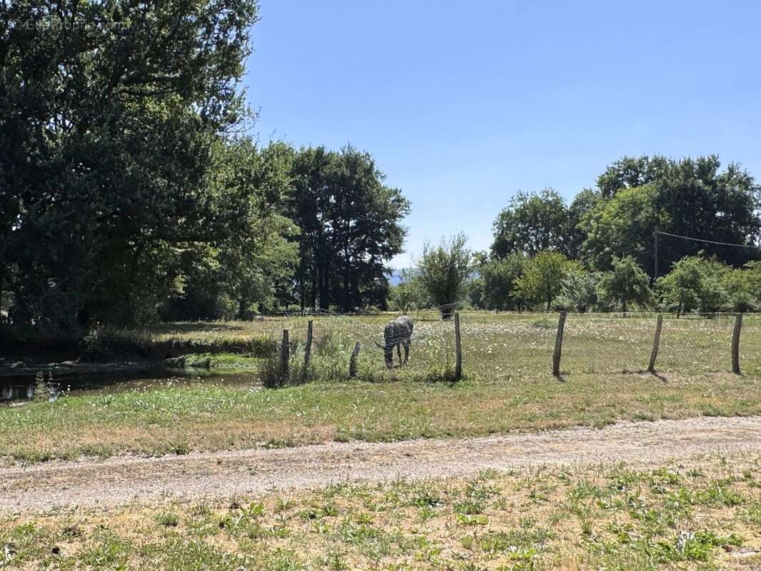Ferme bressane de caractère sur près de 2,7 hectares – Un véritable havre de paix aux portes de Louhans - photo 9