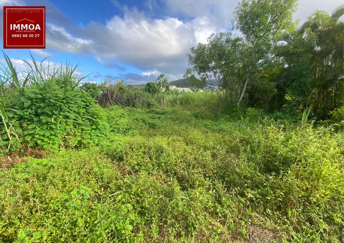 Terrain à LE TAMPON