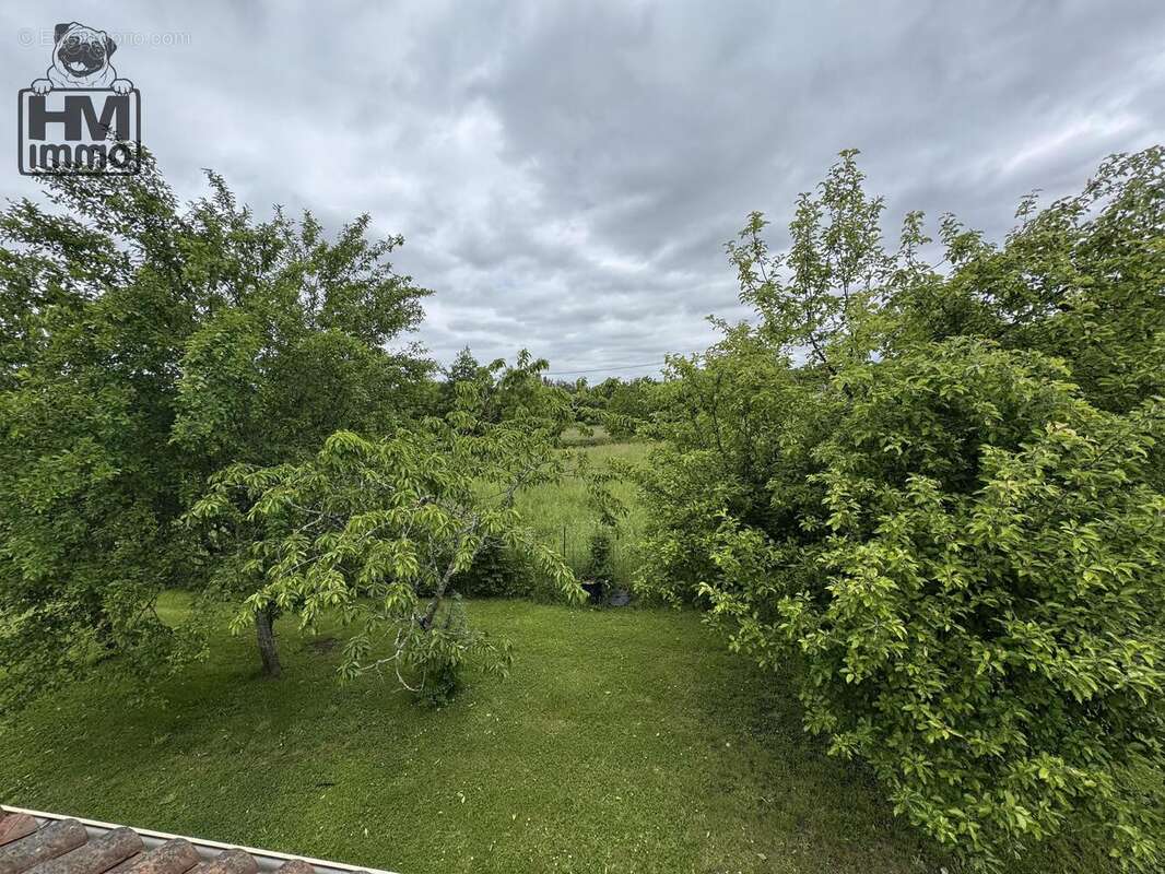 Maison 141 m² à Panazol  - photo 4