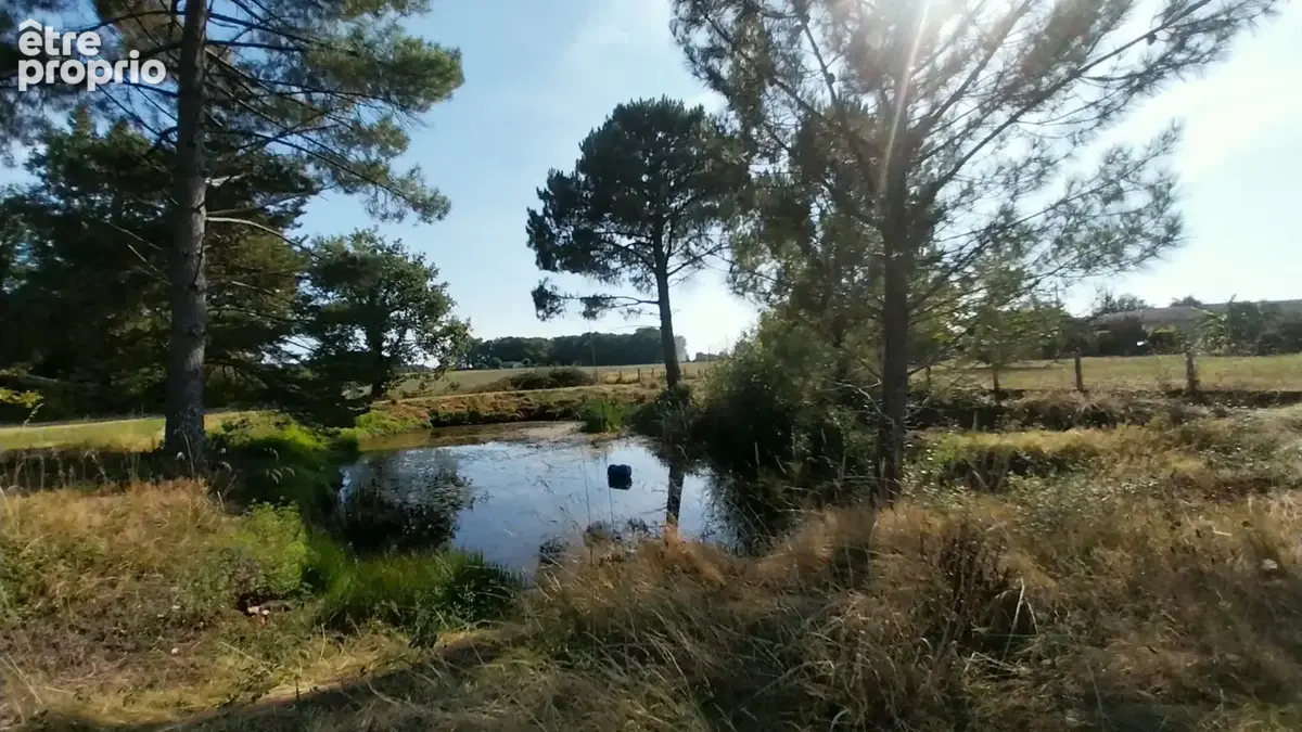 Maison en Pierre avec une piscine et 2ha de terrain située dans un hameau à proximité de Périgueux; - photo 6