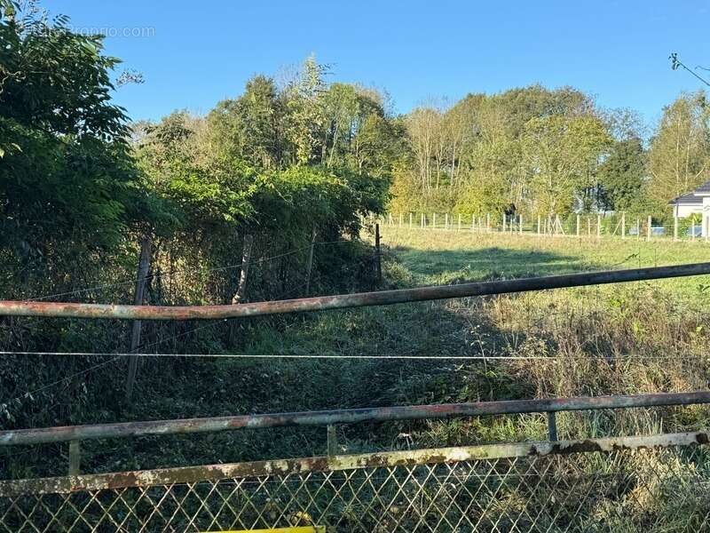 Terrain à DUN-LE-PALESTEL