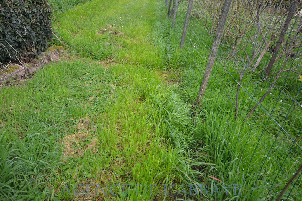 Maison à MONTPELLIER-DE-MEDILLAN